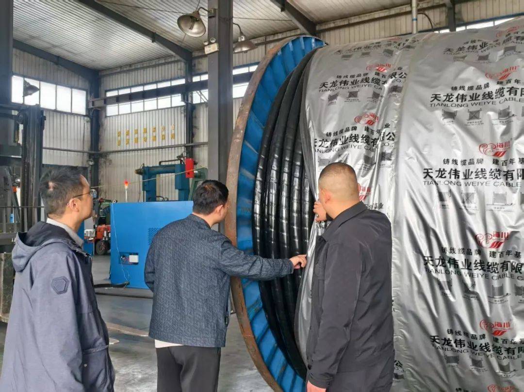 多科室联动，为各行业监管保驾护航，2025年3月25日：各科室积极开展各类监督检查行动