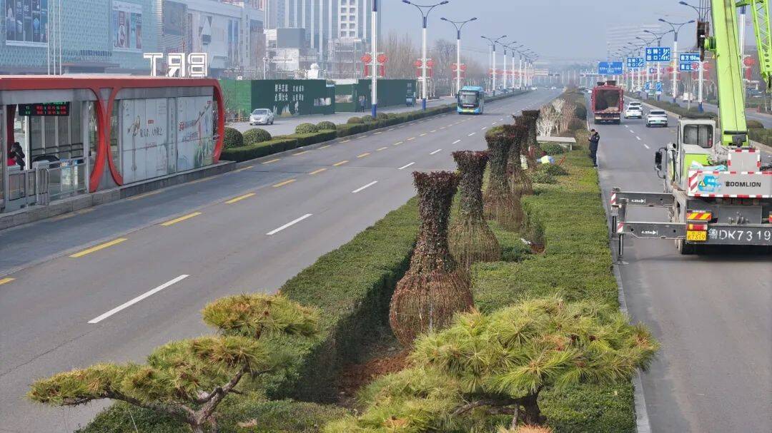 春日枣庄市中：绿化补植与养护共绘美景