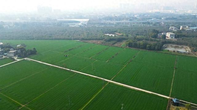 震撼！成都首条跨境保税“空地一体”配送专线启用