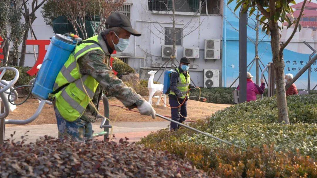 春日枣庄市中：绿化补植与养护共绘美景