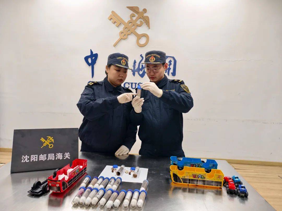 40只巨人恐蚁藏进境邮件，沈阳邮局海关火眼金睛查获 惊！沈阳海关进境邮件中查获40只巨人恐蚁