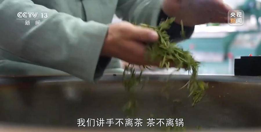 春分至，00后制茶师让西湖龙井焕发新活力，陈超鹏：坚守传统，创新茶味，引领年轻力量走进茶世界