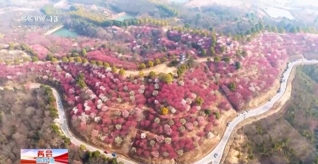 县城消费大升级：春节期间的新变化