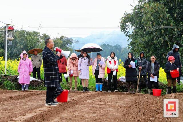 富顺春耕会：专家讲解旱育秧技术，农户热情高涨，春雨中富顺春耕现场会，旱育秧技术助力农业新发展