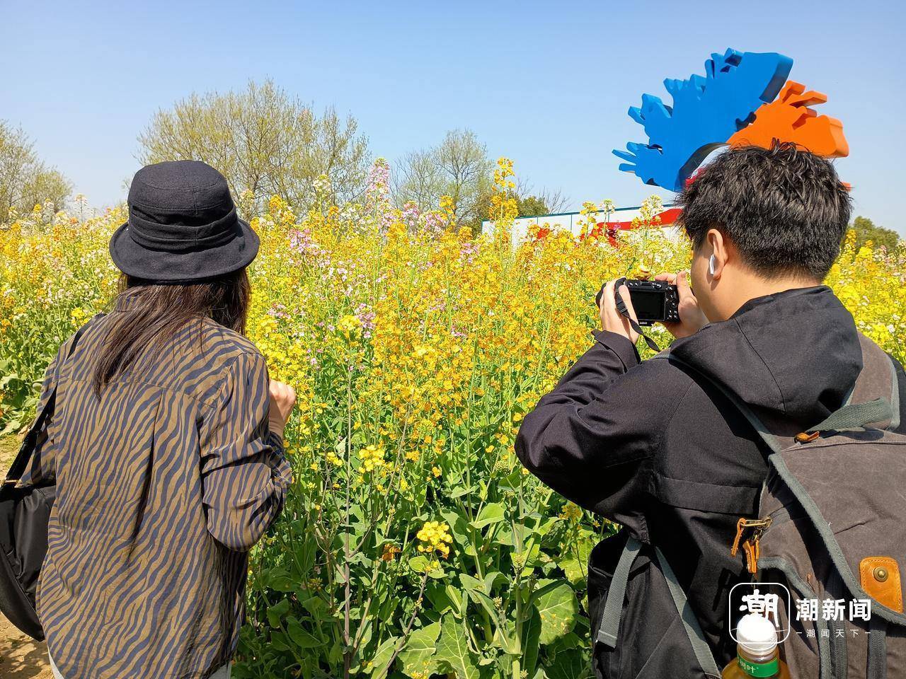 “花香经济”崛起，文旅产业借香出圈