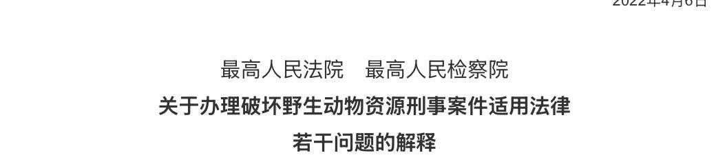 从锦城湖打鸟案看四川禁猎期和禁猎区划分乱象
