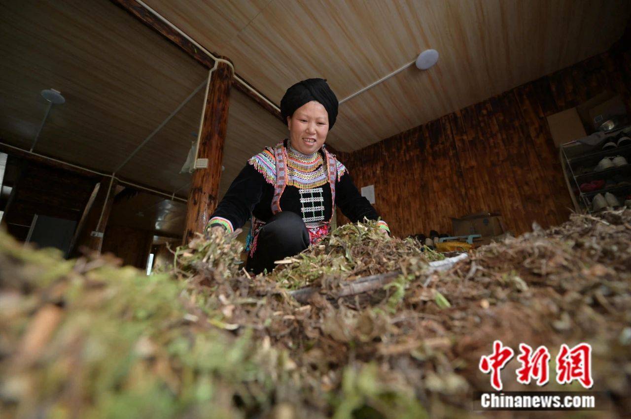 黔东南：邂逅多彩民族文化与绝美风光，春光正好，赴黔东南州的奇妙之约