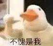跑者周末：无锡江宁回顾，扬州宿迁待启 一周一马，跑者的激情与挑战之旅