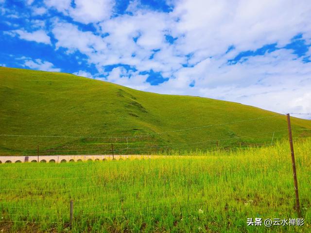 在日就业：突破限制的关键