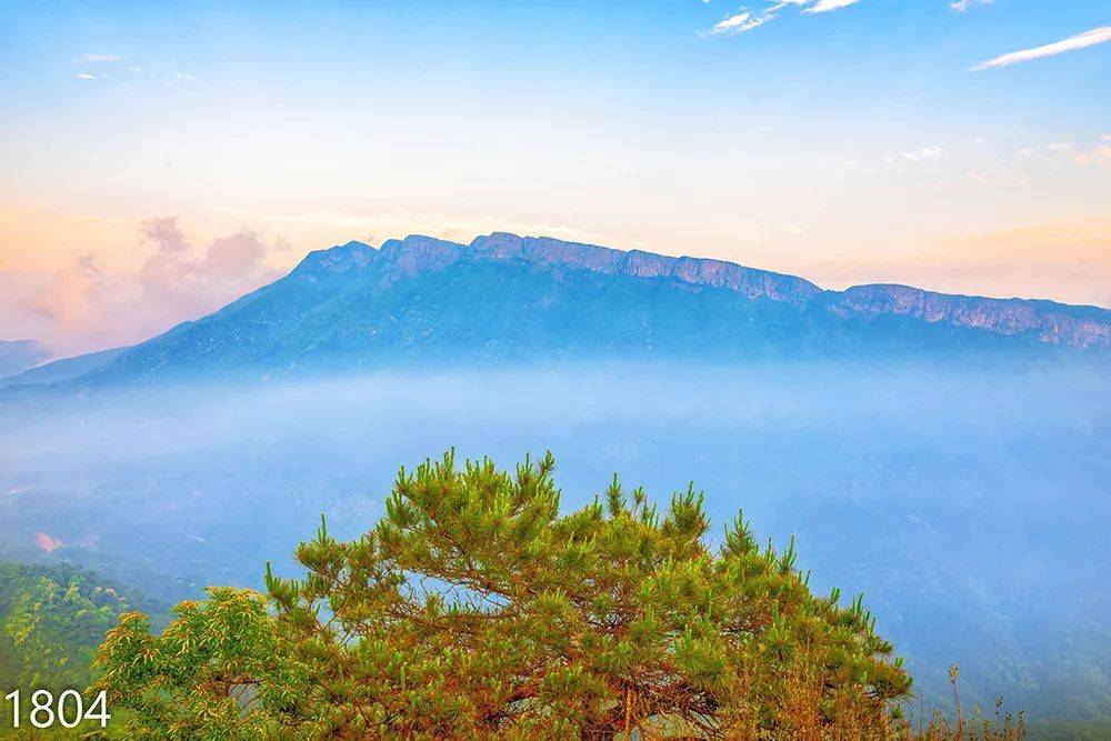 北流贵港：一场自然与人文交织的盛宴，北流萝村、大容山，贵港交通助力的梦幻之行