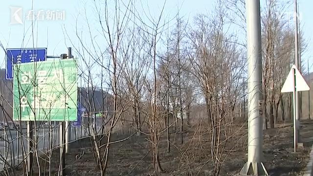 韩国山火复燃，70条生命受威胁！ 韩国多地山火成史上最严重，70人在灾难中受伤亡！