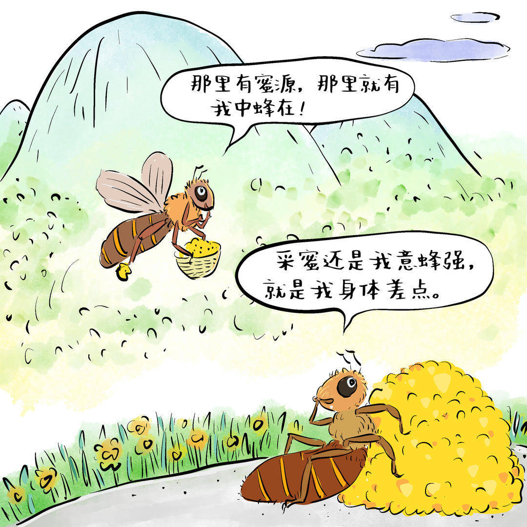 剖析蜜蜂分工：从蜂王到工蜂的职责奥秘 探秘蜜蜂世界：高度社会化的奇妙昆虫