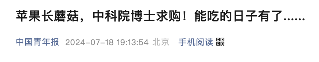 发霉橘子卖出高价，是商机还是闹剧？ 从发霉橘子交易看：科研价值还是健康风险？