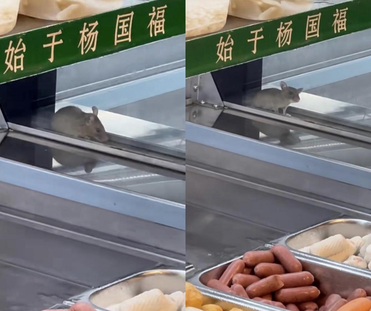苏州杨国福麻辣烫现老鼠，食安风波不断何时休？ 杨国福麻辣烫“黑历史”不断，苏州老鼠事件添新愁