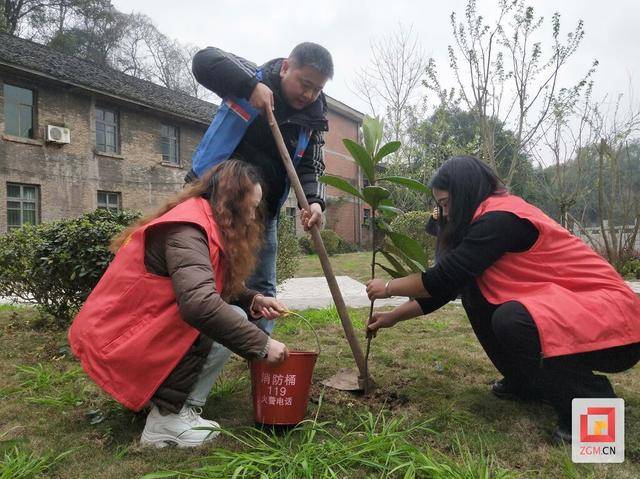 3·12植树节，自贡邓关街道掀起植树热潮