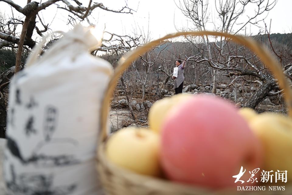 果农吕玉霞：用“土味诗歌”打破生活枷锁，绽放乡村光芒
