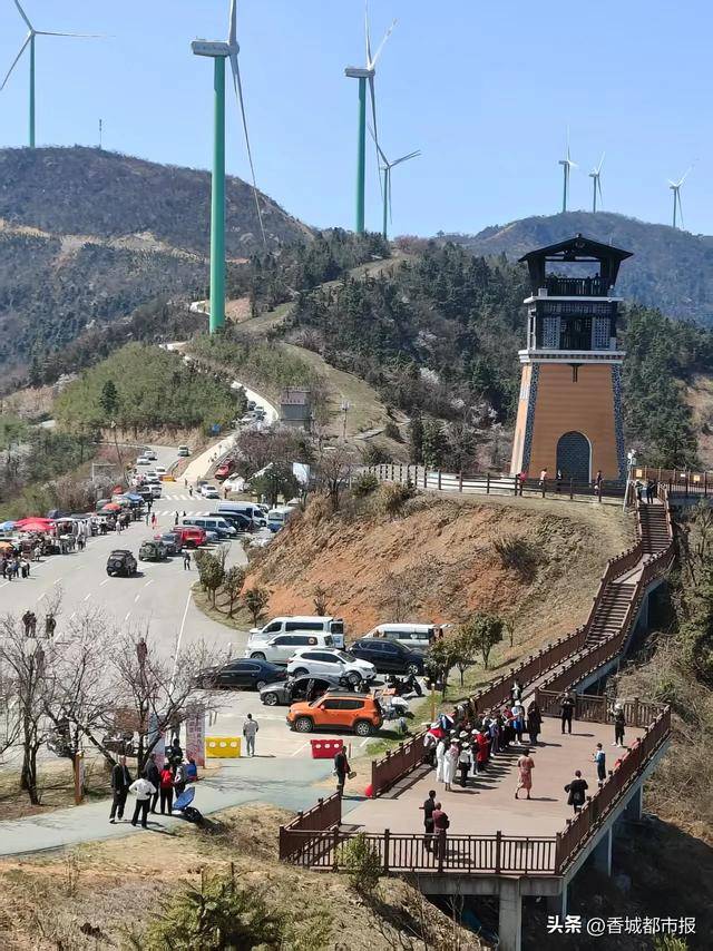 咸安樱花文化旅游活动：从赏花到兴业，描绘幸福新图景，咸安第三届樱花节：绽放生态之美，激活发展动能