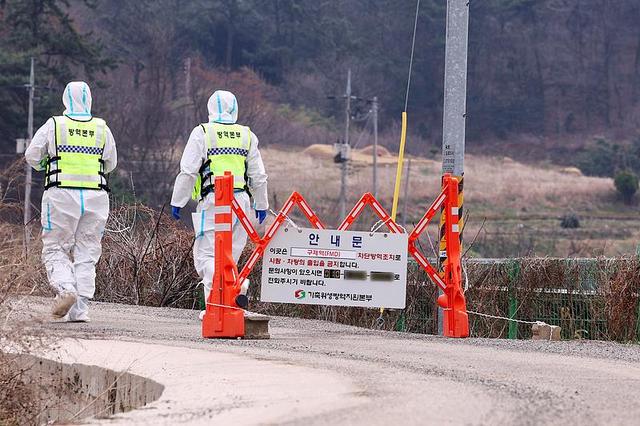 韩国代总统指示防控口蹄疫，全力遏制疫情！