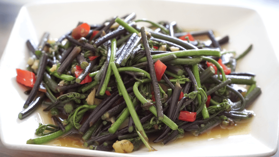 舌尖上的春天！江华蕨菜美味登场，江华山野：蕨菜带来的春日惊喜