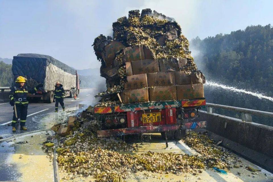 春日驾车出游，高速货车自燃事件敲响安全警钟