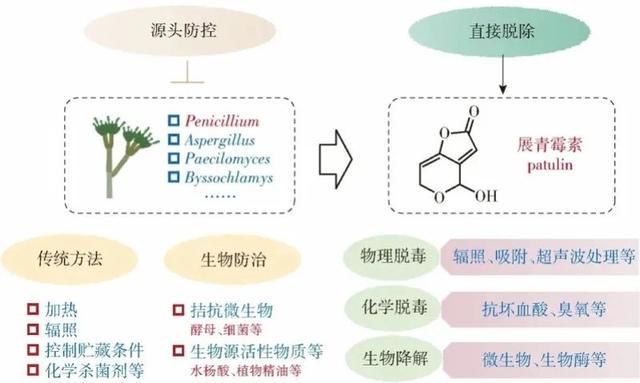 惊！发霉橘子竟成“天价商品”，背后真相大揭秘，从发霉橘子交易看科研与生活的奇妙关联