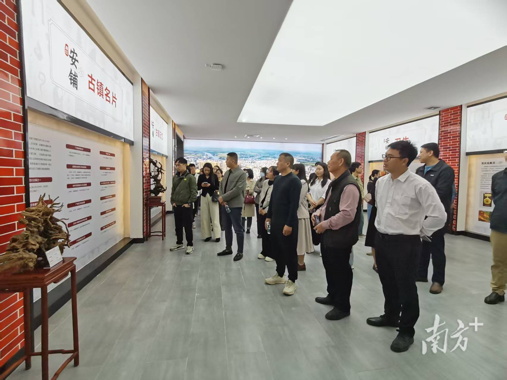 徐闻乡村振兴学习之旅：探寻产业升级密码