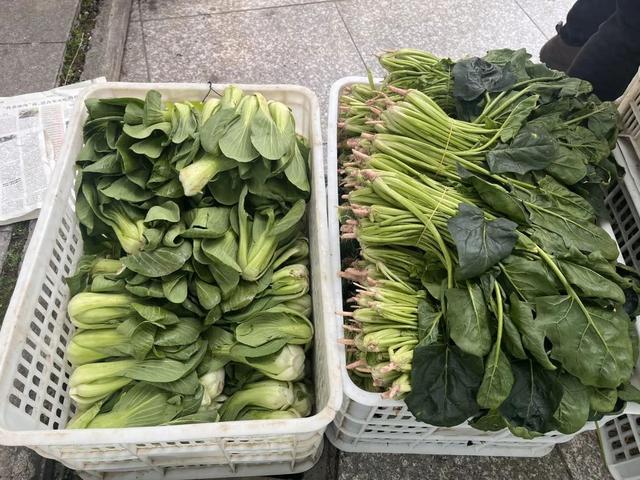 玉英合作社“鲜蔬惠邻”，港西镇居民买菜更轻松，港西镇“鲜蔬惠邻”活动：让居民尽享新鲜实惠