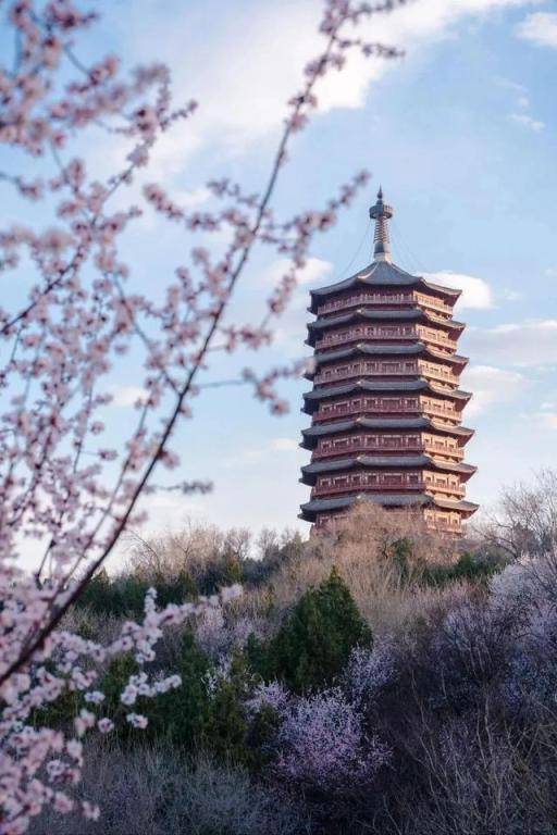 5. 北京春日打卡指南：花景与国潮的双重诱惑
