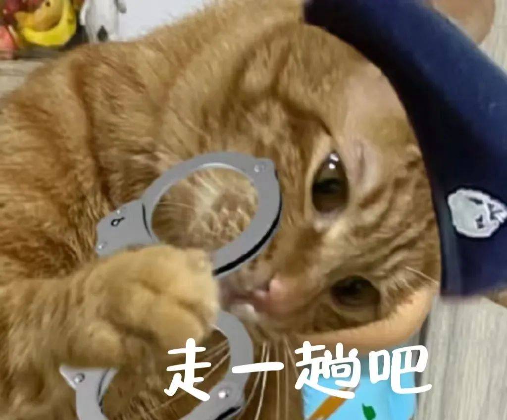 周某两次偷渡被抓，“财富自由”梦碎！，“电子馅饼”诱惑下，周某偷渡终陷法网！