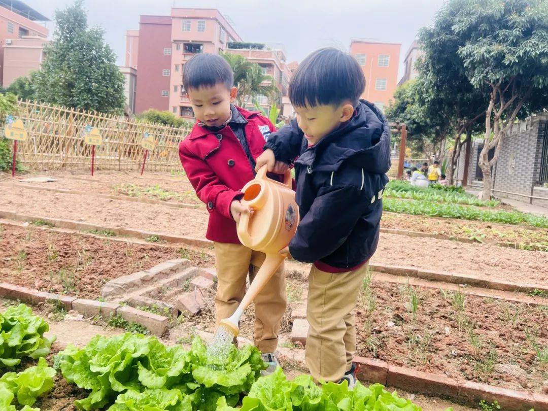 植树节里麻涌师生齐上阵，共筑绿美新家园，阳春植树正当时，麻涌师生为大地披绿装