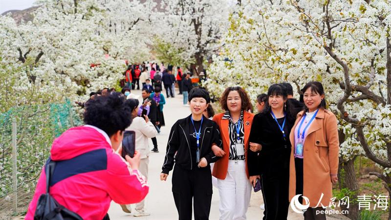 2024年青海：生态旅游的多元发展之路，看2024年青海，生态旅游如何大放异彩