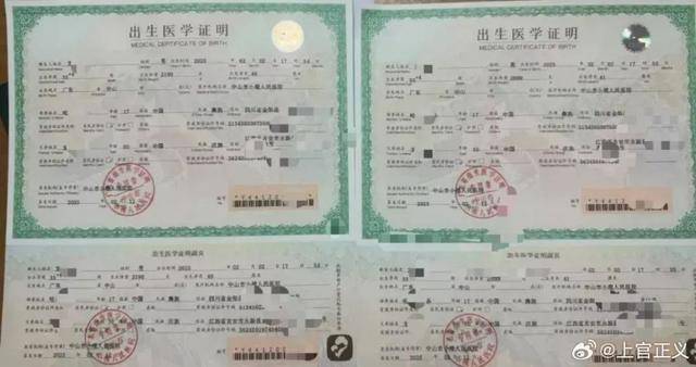17岁少女代孕双胞胎，代孕背后的法律风险与现实难题，17岁女孩代孕风波：法律责任与伦理困境待解