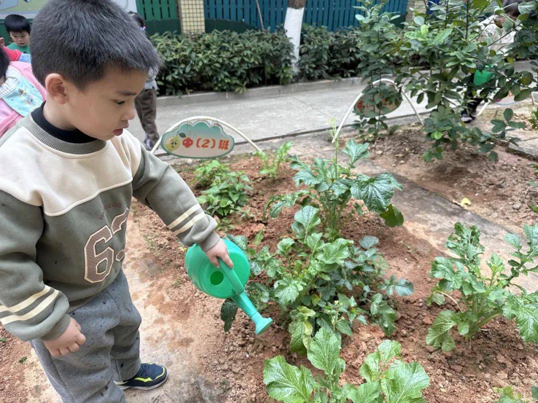植树节里麻涌师生齐上阵，共筑绿美新家园，阳春植树正当时，麻涌师生为大地披绿装