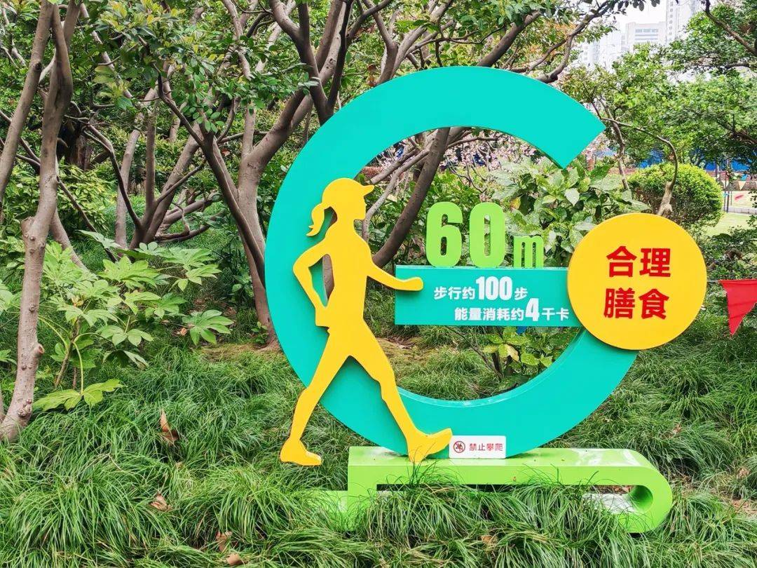 普陀区爱国卫生月活动盛大开启，全力打造健康中国行动“城区样板”，普陀区第37个爱国卫生月启动，多举措共筑健康城区新未来