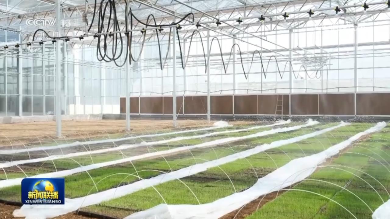 冬小麦返青期和早稻育秧期：看田间管理如何借助新科技，科技助力：冬小麦返青、早稻育秧田间管理的新突破