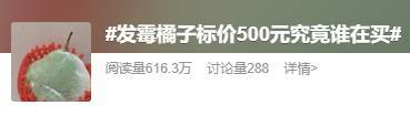 霉变橘子交易热，背后隐藏过敏风险要警惕！，“天价”霉变橘子冲上热搜，网友反应大不同！