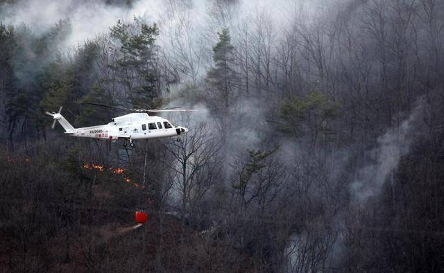 韩国多地因山火进入“灾难状态”，4名消防员不幸遇难，4名消防员牺牲！韩国山火致多地进入“灾难状态”