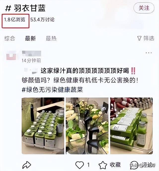 茶饮“健康风”下羽衣甘蓝的逆袭与真相 羽衣甘蓝从滞销到爆火：茶饮市场的新宠儿？