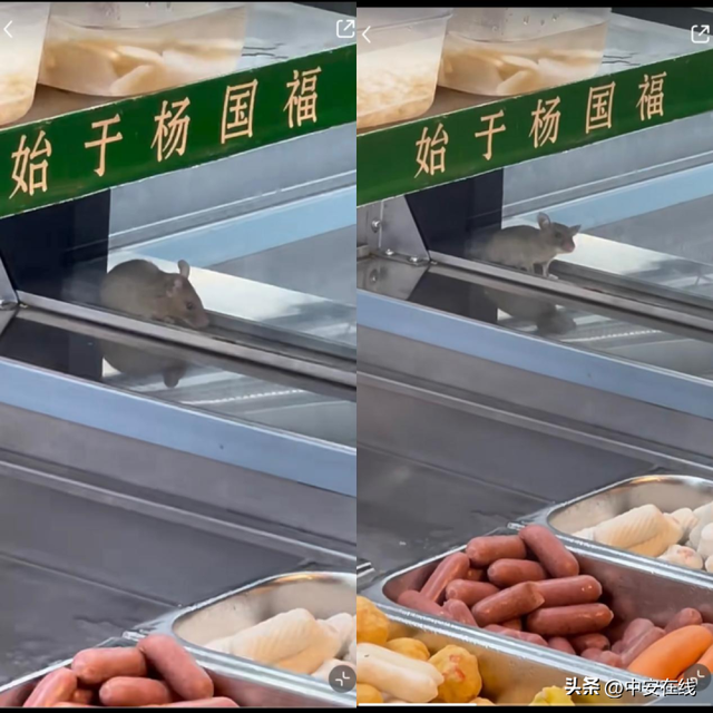 杨国福麻辣烫食品安全红灯频闪，消费者还能放心吃吗？，惊！杨国福麻辣烫再爆老鼠事件，食品安全路在何方？