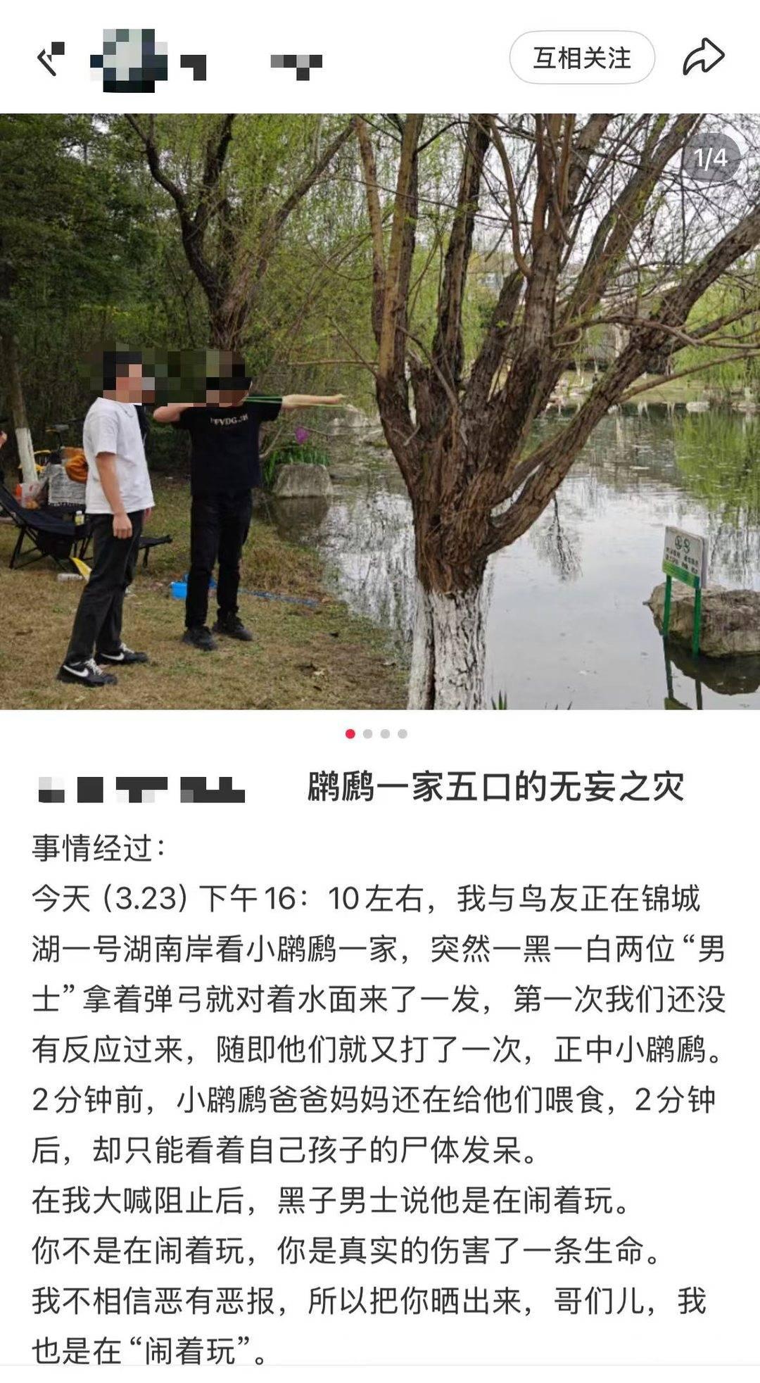 从锦城湖打鸟案看四川禁猎期和禁猎区划分乱象