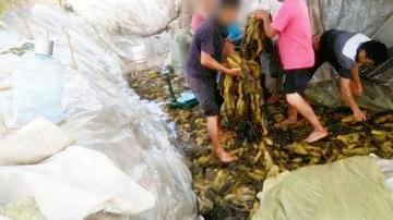 3·15揭开食品黑幕，8类食物或遭消费者“抛弃”，3·15曝光8类问题食品，消费者如何守护餐桌安全？