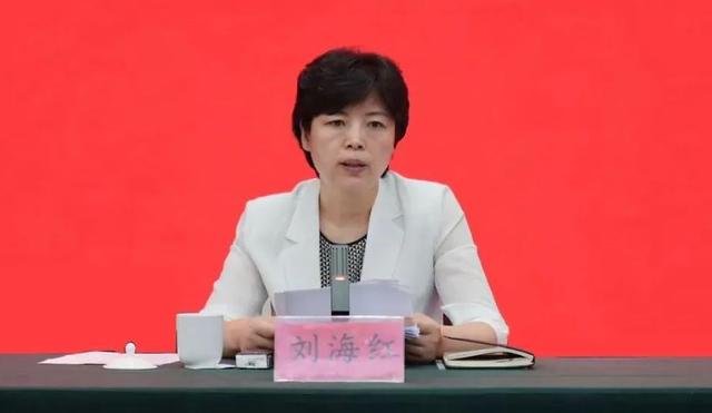 江苏刘海红出任省委社会工作部副部长，多位干部履新：新岗位新征程