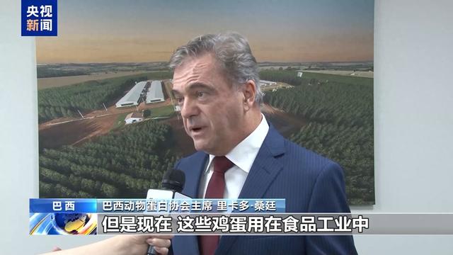 美国因禽流感加大巴西鸡蛋进口，贸易合作或迎春天 禽流感重创美国蛋鸡产能，巴西鸡蛋驰援