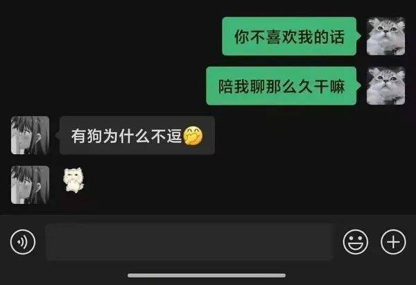 4. 今日搞笑大赏，段子哥带你嗨！
