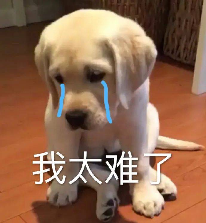 吹风机危险“兼职”，引发民房火灾 吹风机不当使用引大火，这些要点需掌握