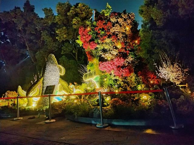 当樱花落幕，海棠如何成为春日新宠？