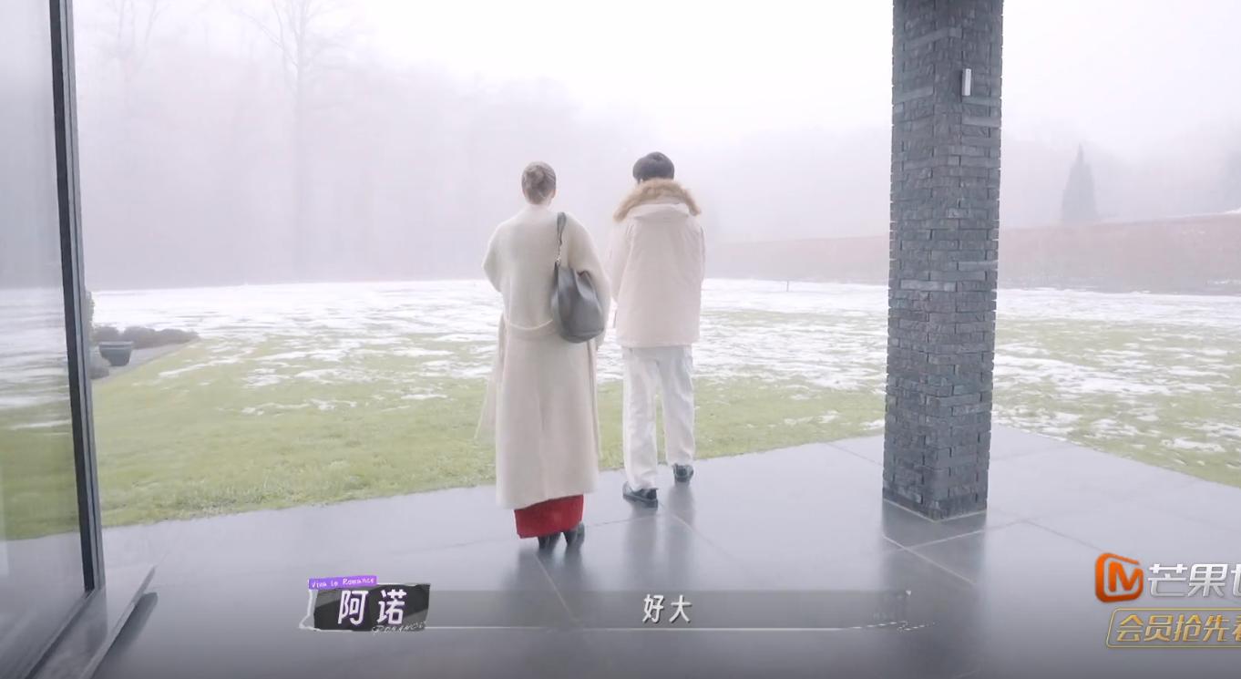 阿诺与董力：比利时买房背后的婚姻真相
