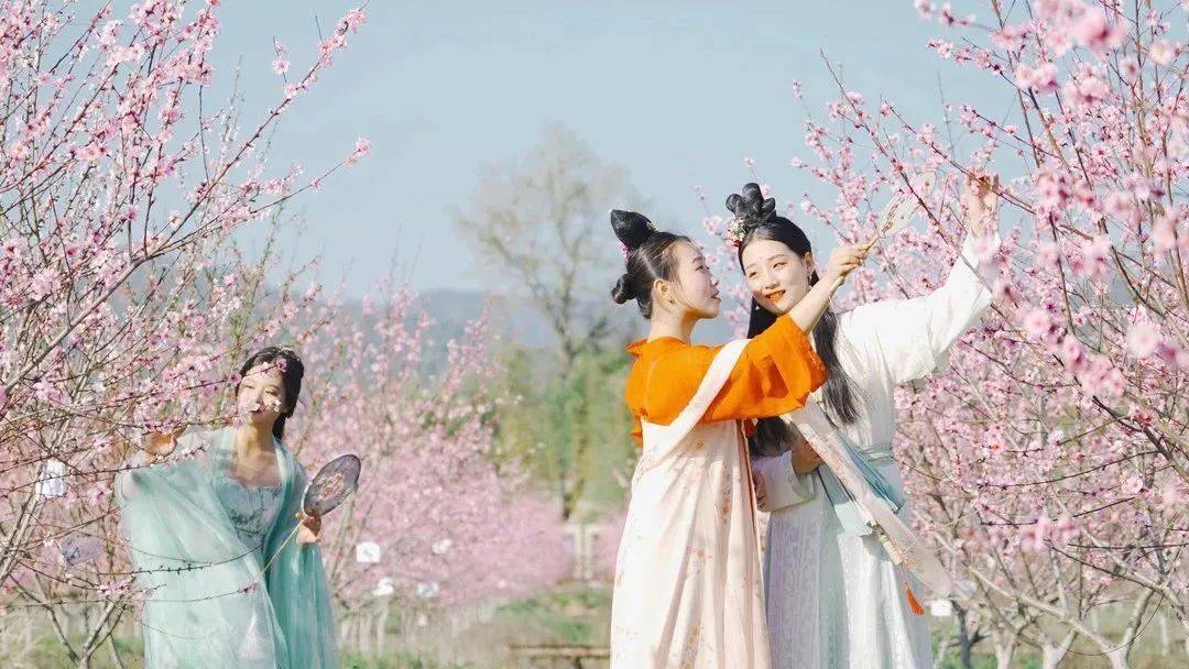 2. 繁花春日，走进景德镇的赏花仙境