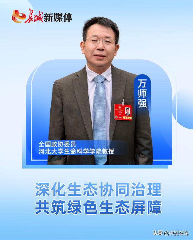 三大区域联动，共绘高质量绿色发展新蓝图