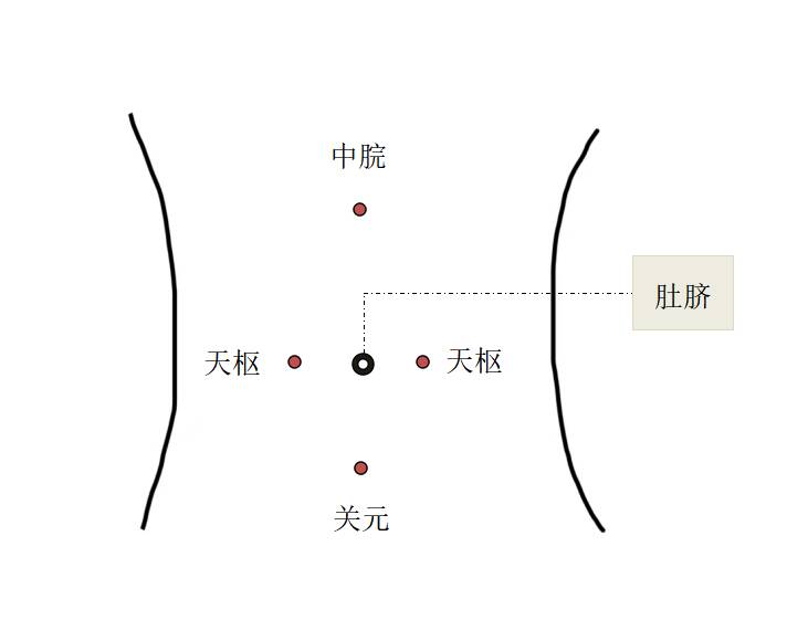 掌握穴位按摩，开启畅快排便之旅，神奇穴位按摩，让肠道“清爽”起来